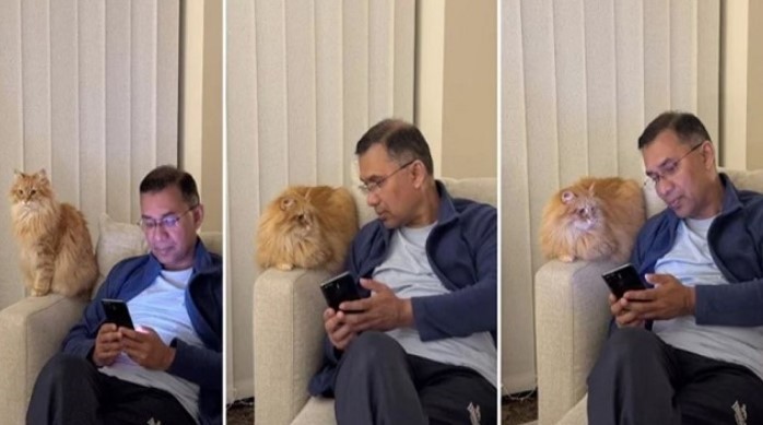 তারেক রহমানের সাথে দেশে ফিরছে প্রিয় পোষা বিড়াল 'জেবু'